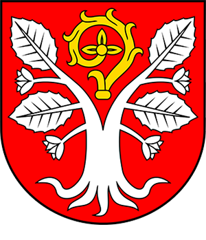 Gmina Radwanice
